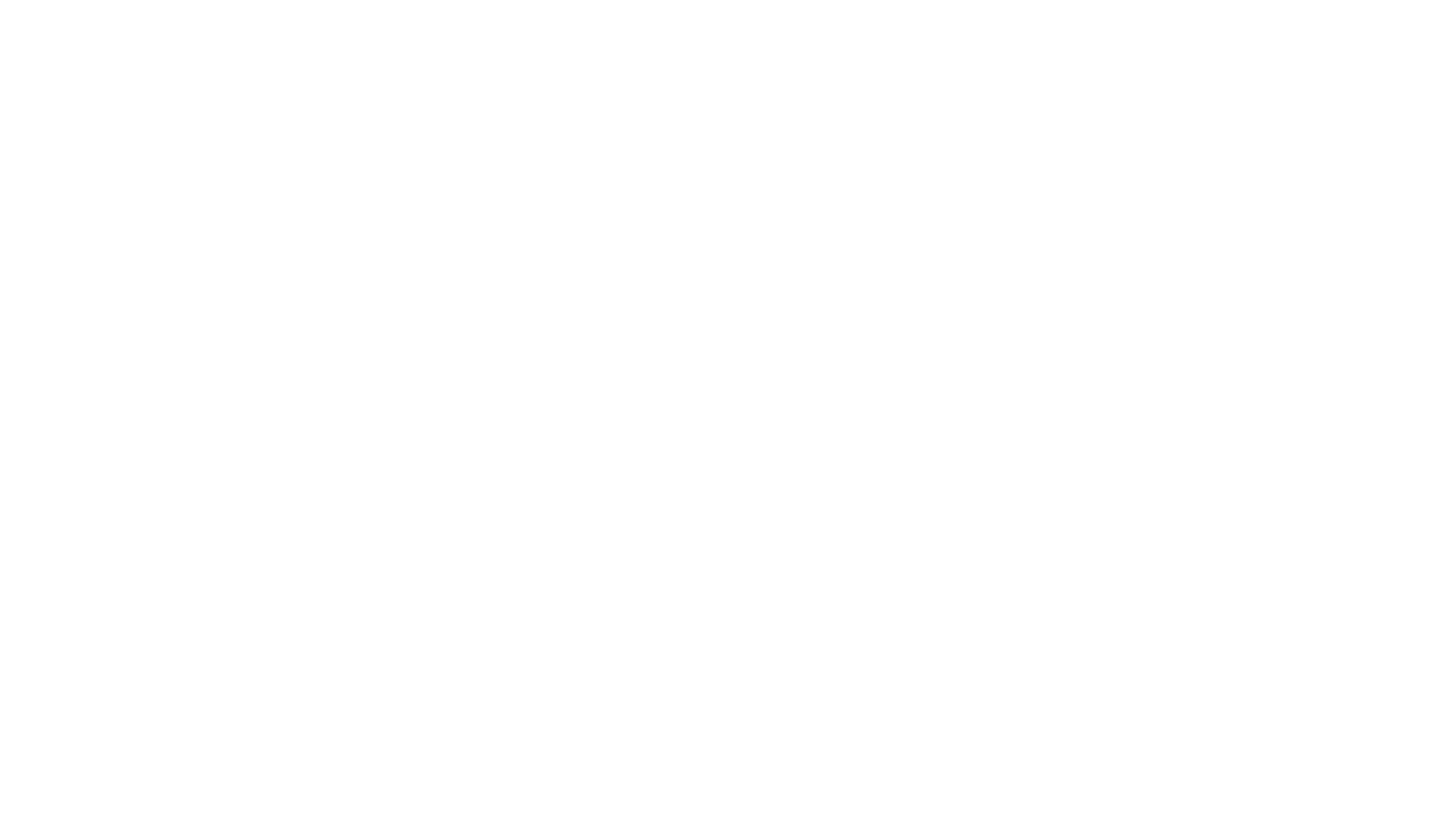carousel logo 4